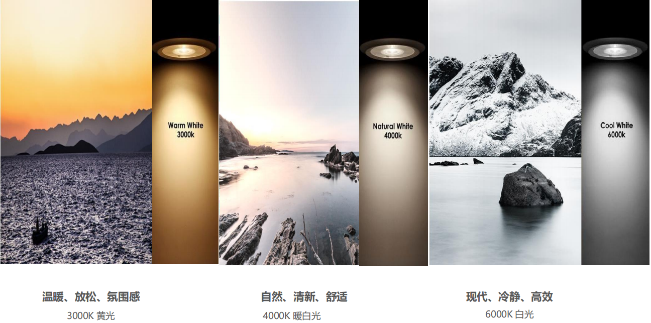 【設計案例】普照國康醫藥辦公室項目概念設計——以空間敘事，筑品牌基因(圖26)